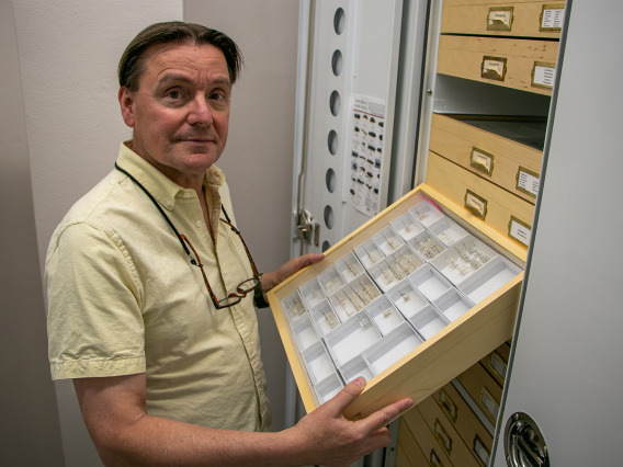 Gene Hall in the UA Insect Collection