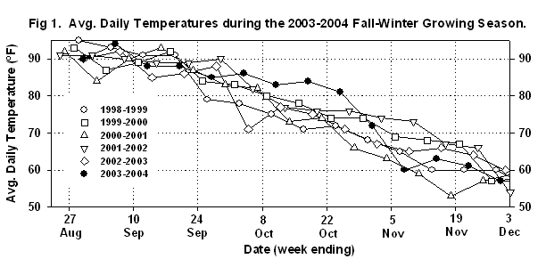 Figure 1  is a graph of the average daily temperatures during the 2003-2004 fall-winter growing season compared with temperatures in seasons going back to 1998.