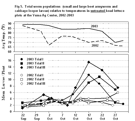 Figure 5 consists of two graphs placed on top of each other.  The top graph shows the average temperature  for the fall of 2002 and 2003.  The bottom graph shows the total worm populations (small and large beet armyworm and cabbage looper larvae) relative to temperatures in untreated head lettuce plots at the Yuma Ag. Center, 2002-2003.