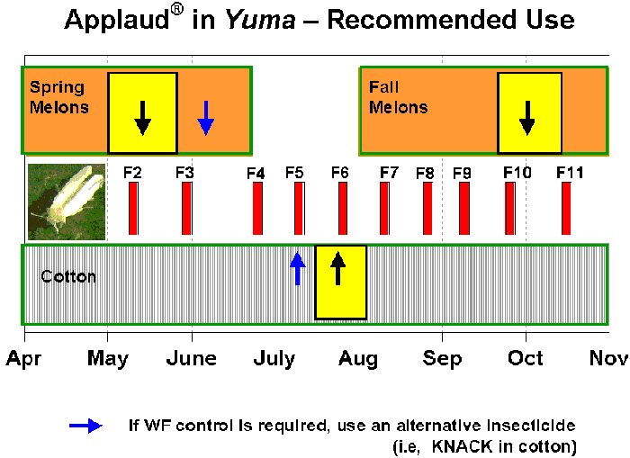 Graph of the recommended use of Applaud in the Yuma crop community over a year.  Times of year for spring and fall melons and cotton are overlaid with bars depicting occurance of generations of whitefly (f2-f11).  Recommended Applaud use times are indicated as well. (with the notation that if wf control is required in certain other times, use on an alternative insecticide - i.e., Knack in cotton - is recommended.