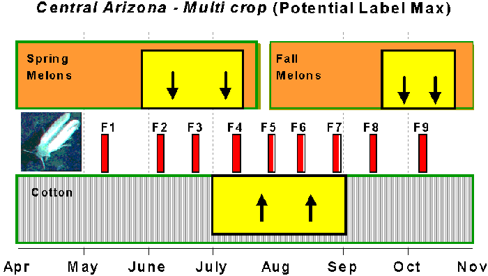 Graph of the potential label max use of Applaud in the Central Arizona crop community over a year.  Times of year for spring and fall melons and cotton are overlaid with bars depicting occurance of generations of whitefly (f1-f9).  