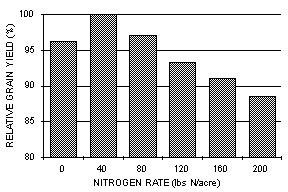 Column graph of grain yield vs nitrogent rate