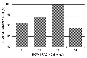 Column graph of grain yield vs row spacing.