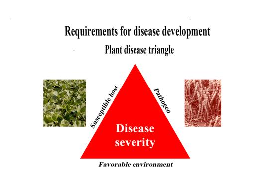 Plant Disease Triangle